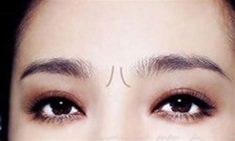 双雀纹图片