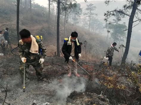 西昌泸山发生森林火灾 火势仍在蔓延 消防前往处置_新浪新闻