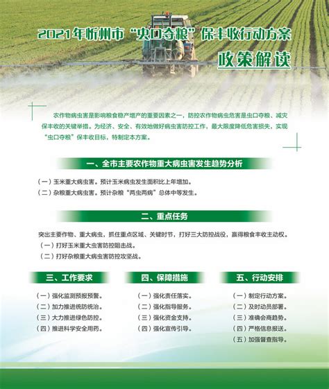 图解|2021年忻州市“虫口夺粮”保丰收行动方案-山西忻州