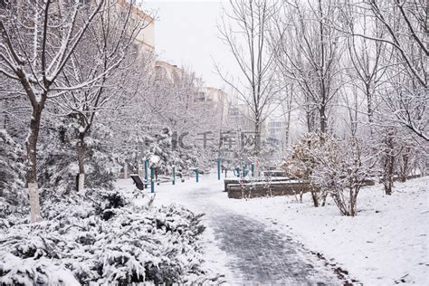 冬季雪景图片素材-正版创意图片400893902-摄图网