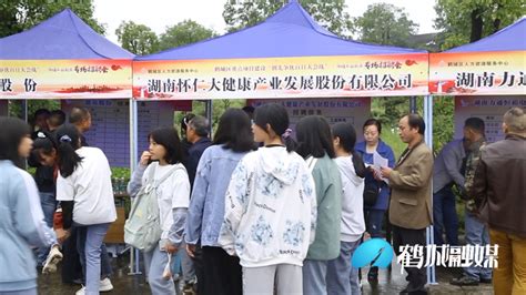 2020年湖南省怀化市鹤城区教师招聘考核 第一次递补的公告-怀化教师招聘网.