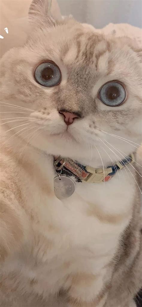 最好看图片