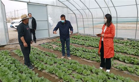 凉州:提档升级、品牌化、规模化是蔬菜产业高质量发展的必由之路 @ 甘肃三农在线