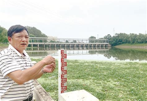 武汉东西湖：以府河之为贡献长江之治 以梧桐之名唤醒生态之雨_凤凰网视频_凤凰网