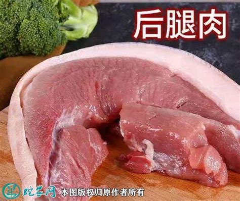 今日猪肉多少钱一斤？2023年1月份猪肉价格走势 - 惠农网