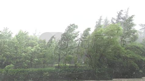 狂风暴雨图片
