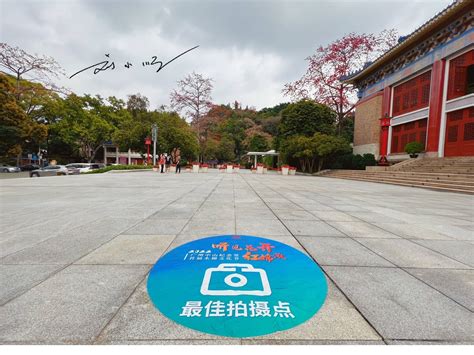 广州有一棵“木棉王”，已有350多岁，又被称为“中国最美木棉” 飞扬头条_飞扬网