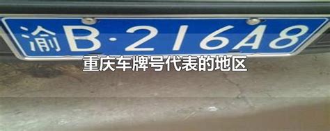 渝D是重庆哪里的车牌-太平洋汽车百科