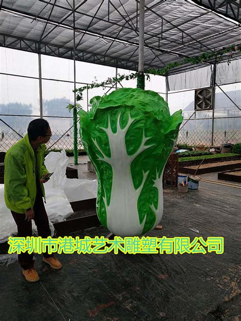 绿色植物生态园农场种植区人口大白菜玻璃钢雕塑模型|纯艺术|绘画|港城雕塑 - 原创作品 - 站酷 (ZCOOL)