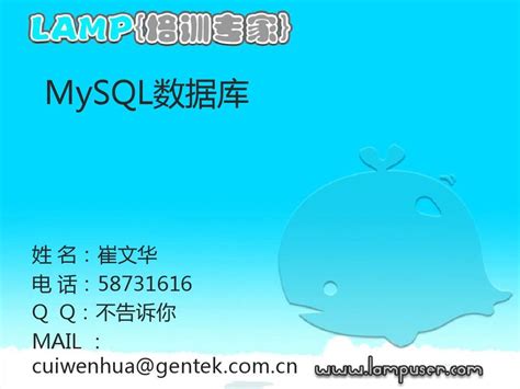 MySQL 教程 | 菜鸟教程