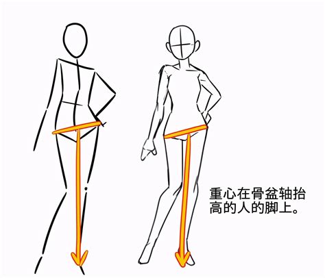 漫画人体入门图片