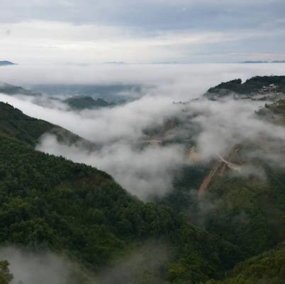 临翔区:加强森林资源发展保护助推生态发展林业-能去哪