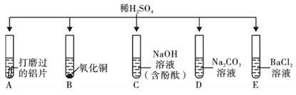 为验证稀H2SO4的化学性质，同学们做了如下实验：