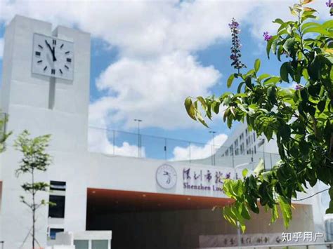龙华高级中学：家门口新名校|龙高|学校|龙华_新浪新闻