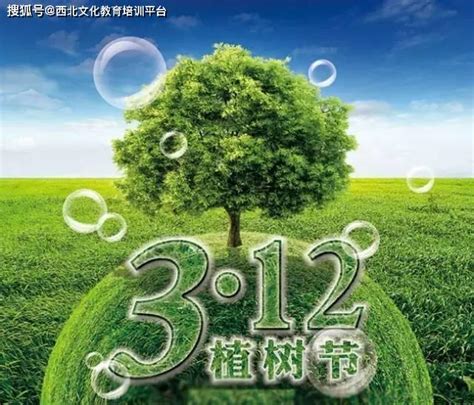 中国植树节的由来-搜狐大视野-搜狐新闻
