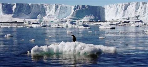 全球变暖趋势下，南北极冰川融化，海平面得以上升，印度：我最惨|南北极|全球变暖|海平面_新浪新闻