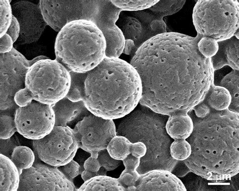 粉体的SEM图片检测 粉末显微结构检测