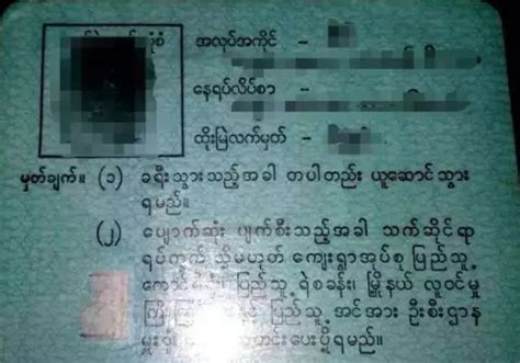 吉林破获跨国电信诈骗案 10名嫌犯被从缅甸押回国 - 国内动态 - 华声新闻 - 华声在线