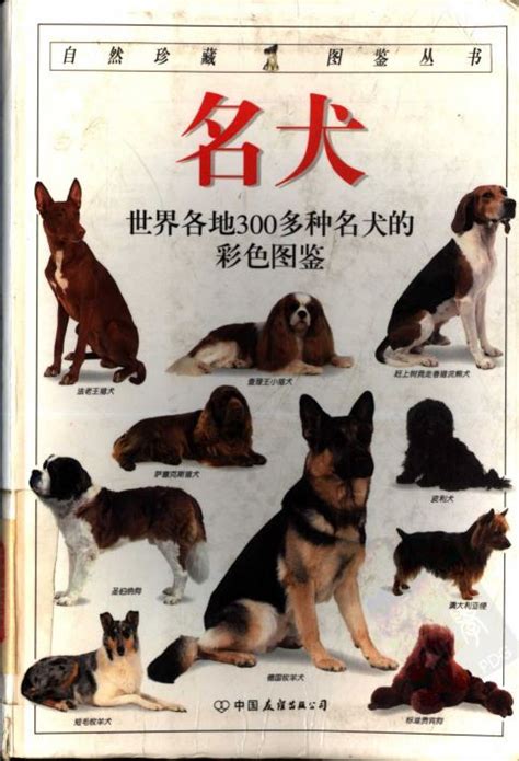 世界名犬图鉴。像一个百科图鉴，都太可爱了