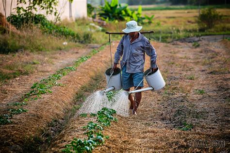 农业 农民 工人图片免费下载 - 觅知网