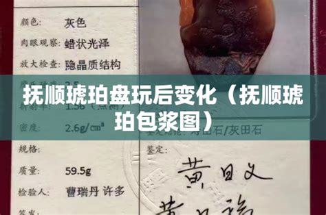 南京古生物所等在抚顺琥珀研究中取得进展----中国科学院