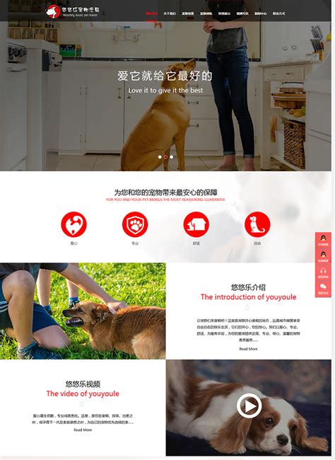 宠物品牌网页设计|网页|企业官网|噢啦噢啦噢啦噢啦 - 原创作品 - 站酷 (ZCOOL)