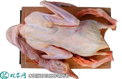 [白条鹅批发]白条鹅 新鲜澄海区狮头鹅肉价格15元/斤 - 惠农网