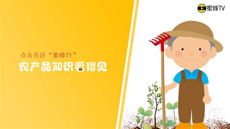互联网+农业解决方案专题页_庄庄Flora-站酷ZCOOL