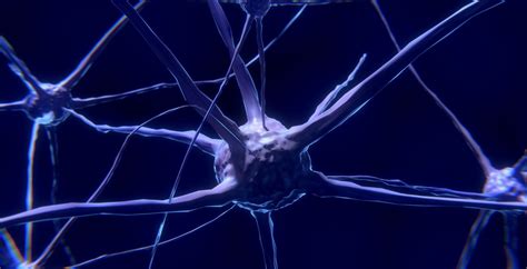 【新研究】多巴胺自由|脑细胞自身活性决定快乐激素的分泌-《转》译-转化医学网-转化医学核心门户