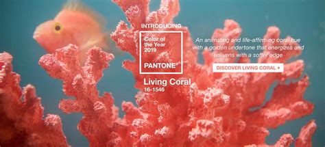 粉嫩珊瑚色口红试色，清新的颜色，慢慢的夏日感。|口红|珊瑚色|颜色_新浪新闻