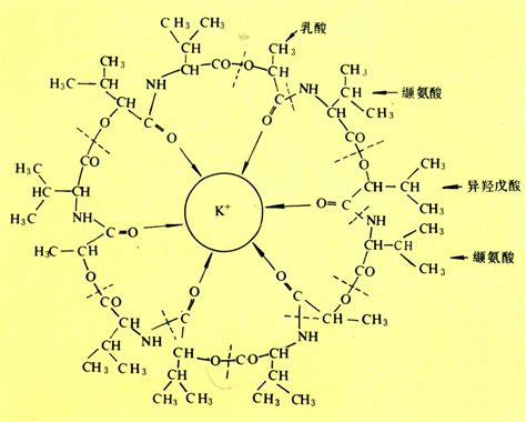 离子簇的结构以及无定形磷酸钙和羟基磷灰石的形成——从配位化学的视角看----北京同步辐射装置