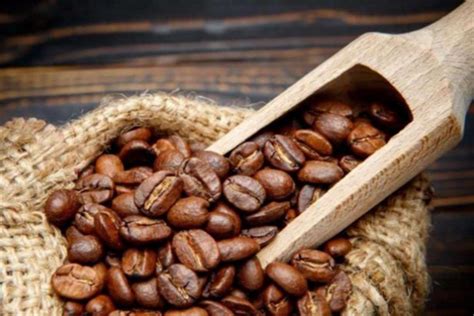 2022年世界咖啡豆价格排行榜 2022年瑰夏咖啡豆价格多少钱贵不贵 中国咖啡网