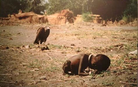 《饥饿的苏丹》，让全世界轰动的相片，摄影师却因它而被迫自杀|饥饿的苏丹|相片|自杀_新浪新闻