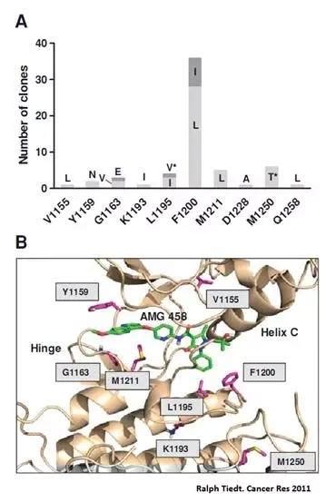 NSCLC 重大突破! 当 MET 遇见 MET 抑制剂 - 丁香园