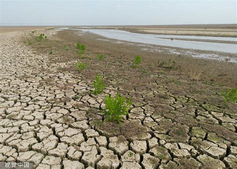 江西鄱阳湖水位一个月下降近5米_新闻频道_中华网