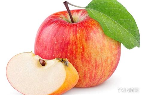 【图】苹果减肥法怎么不反弹 三日苹果减肥法_伊秀美体网|yxlady.com