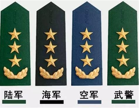 中国近代军衔图集：清末新军、满清禁卫军与北洋陆军