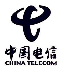 武汉电信实业有限责任公司武汉电信城分公司 - 爱企查