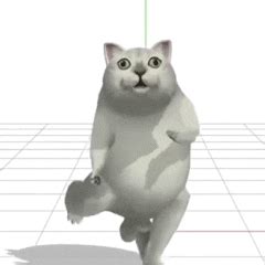 憨憨猫跳舞gif表情包合集_图片