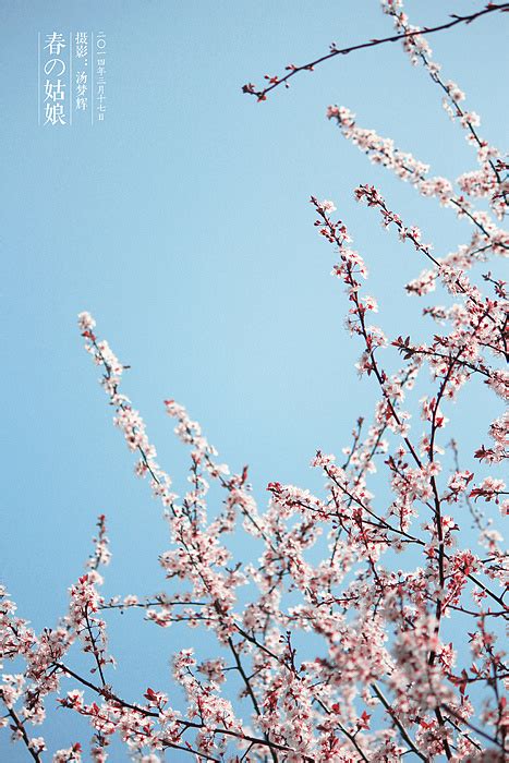 《春暖花开》|摄影|风光摄影|小可厮人 - 原创作品 - 站酷 (ZCOOL)
