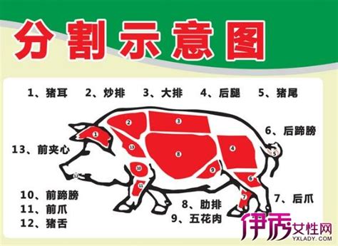 猪肉常见的12个部位的特点以及做法，有用收藏 - 知乎