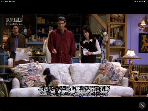 老友记 Friends 1-10季 中英字幕–依依不舍，无法超越的经典，最喜欢的美剧 – 旧时光