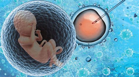 什么是胚胎移植？胚胎移植后的注意事项？_美中桥