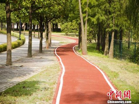 香港包氏家族捐建的健步道在上海交大启用_媒体聚焦_上海交通大学新闻学术网