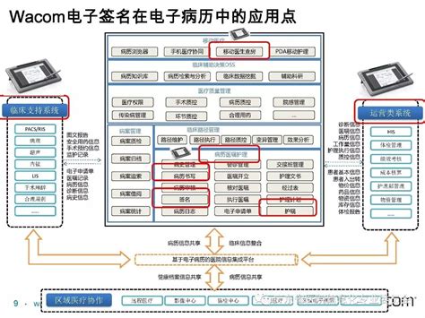 淄博公司网站建设推广 欢迎来电「山东金子网络科技供应」 - 8684网B2B资讯