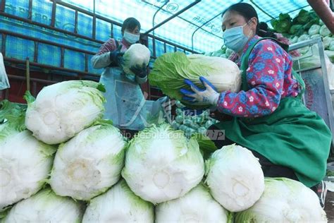 安徽阜阳：农产品批发市场货源足保供应-人民图片网