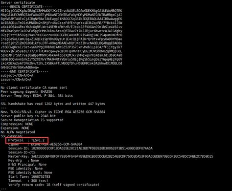 TLS 版本查询_查看服务器tls版本-CSDN博客