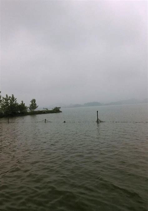 花马湖（湖北鄂州东部的湖泊）_尚可名片
