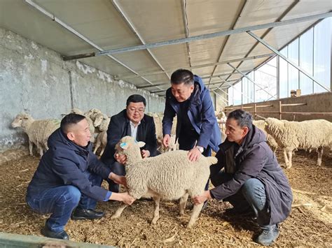 重庆市畜牧科学院育种猪场