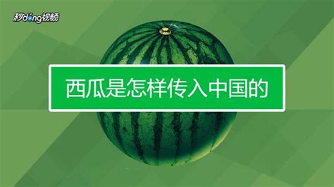 西瓜是怎样传入中国的-百度经验